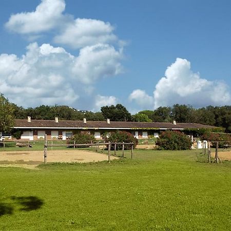 Residential Horse Club Costa Brava Hostel ซานตากริสตีนาเดโฮ ห้อง รูปภาพ