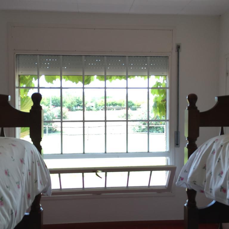 Residential Horse Club Costa Brava Hostel ซานตากริสตีนาเดโฮ ห้อง รูปภาพ