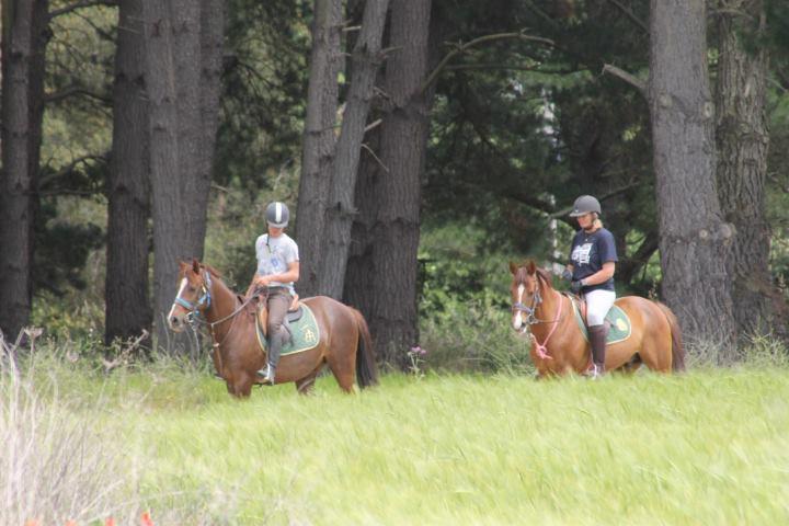 Residential Horse Club Costa Brava Hostel ซานตากริสตีนาเดโฮ ภายนอก รูปภาพ