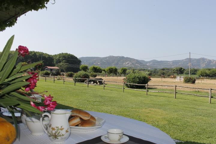 Residential Horse Club Costa Brava Hostel ซานตากริสตีนาเดโฮ ห้อง รูปภาพ